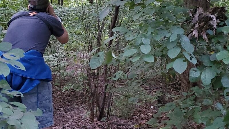 Water Hole Trail Head - Jamaica, NY