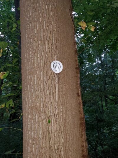 Water Hole Trail Head - Jamaica, NY