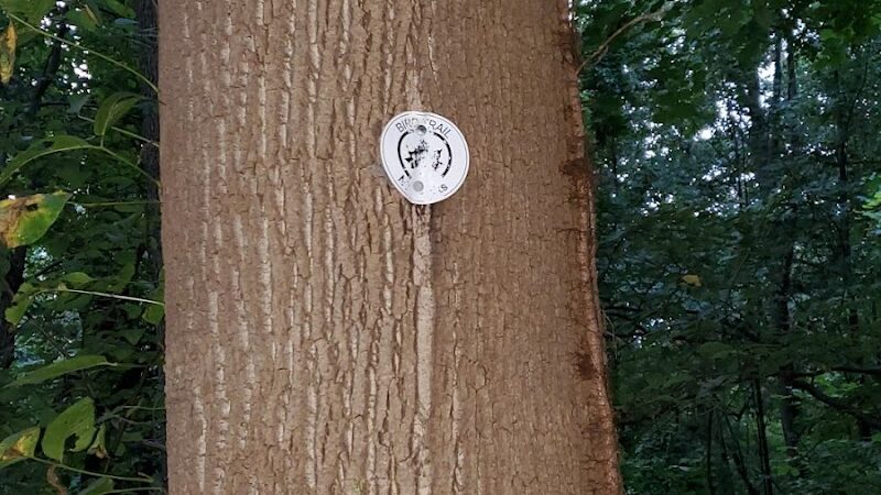 Water Hole Trail Head - Jamaica, NY