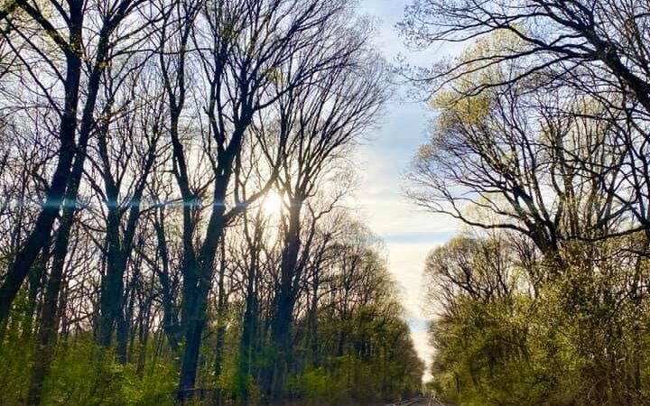 Water Hole Trail Head - Jamaica, NY