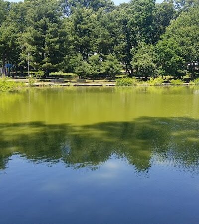 Captain Tilly Park - Jamaica, NY