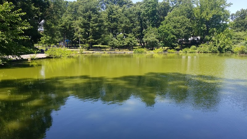 Captain Tilly Park - Jamaica, NY