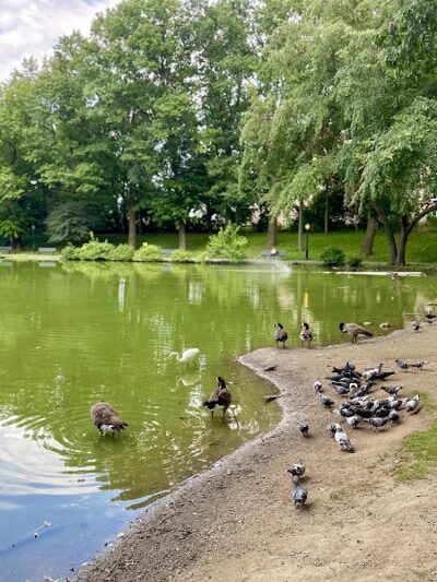 Captain Tilly Park - Jamaica, NY