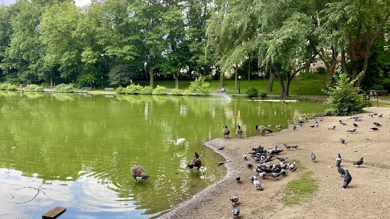 Captain Tilly Park - Jamaica, NY