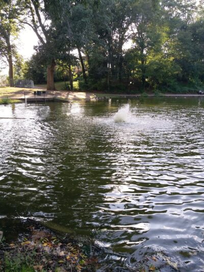 Captain Tilly Park - Jamaica, NY
