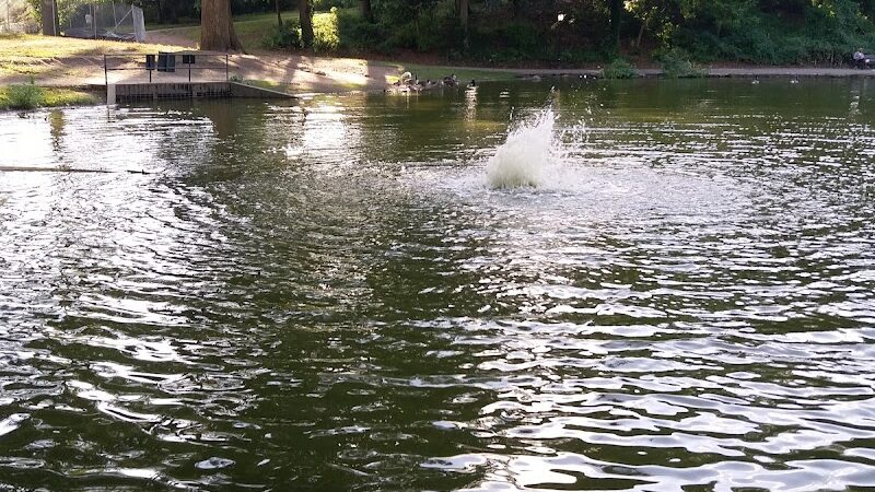 Captain Tilly Park - Jamaica, NY