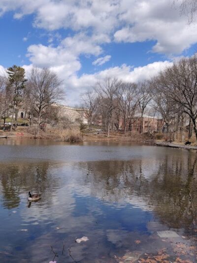 Captain Tilly Park - Jamaica, NY