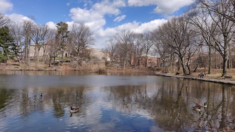 Captain Tilly Park - Jamaica, NY