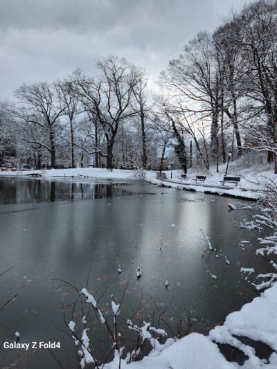 Captain Tilly Park - Jamaica, NY