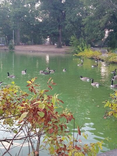 Captain Tilly Park - Jamaica, NY