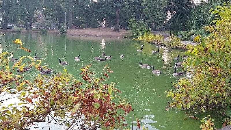 Captain Tilly Park - Jamaica, NY