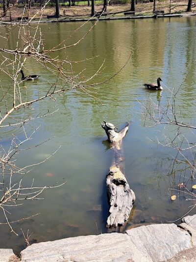 Captain Tilly Park - Jamaica, NY