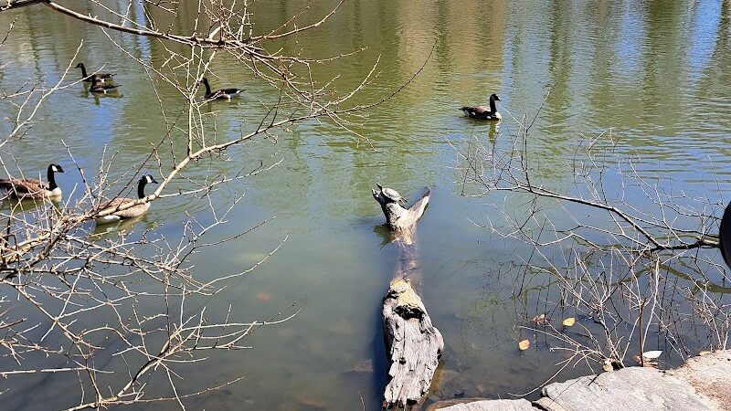 Captain Tilly Park - Jamaica, NY
