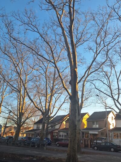 Foch Sitting Area - Jamaica, NY