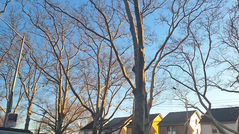 Foch Sitting Area - Jamaica, NY