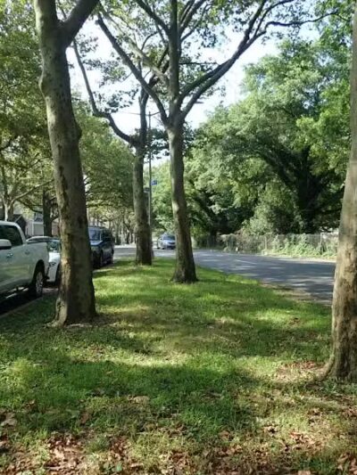Foch Sitting Area - Jamaica, NY