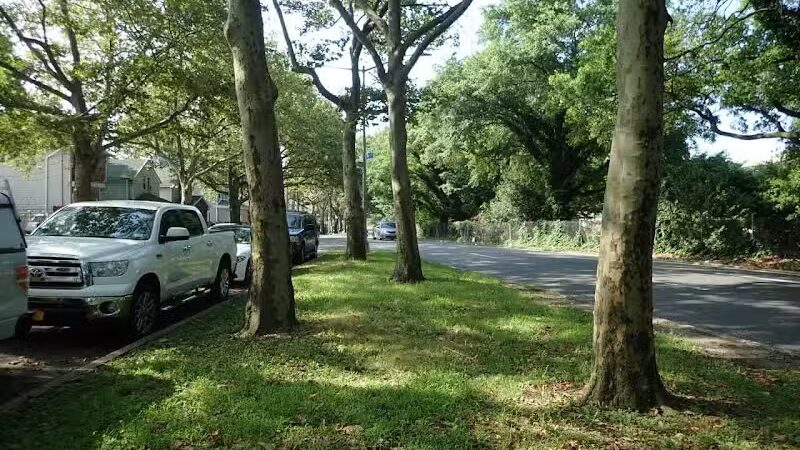 Foch Sitting Area - Jamaica, NY