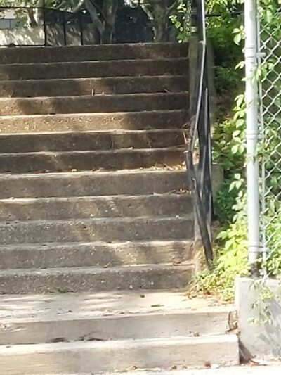 Peters Field - Jamaica, NY