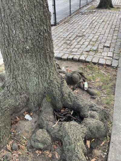 Playground One Forty - Jamaica, NY