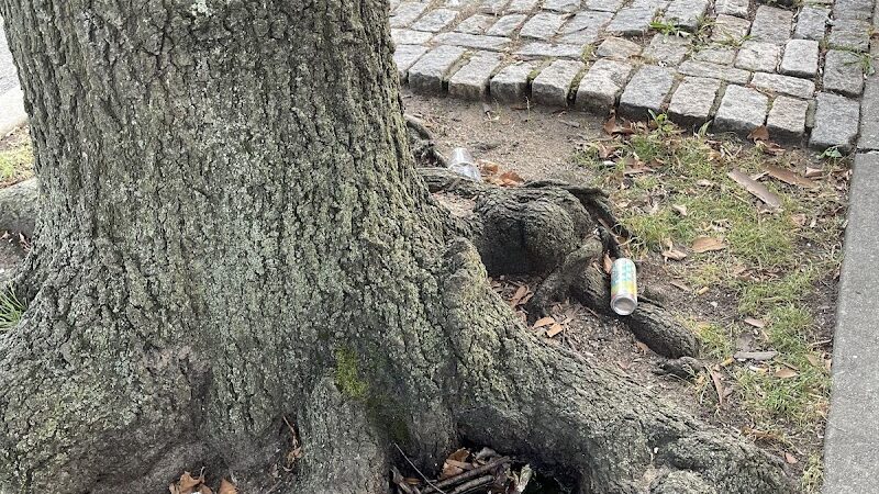 Playground One Forty - Jamaica, NY