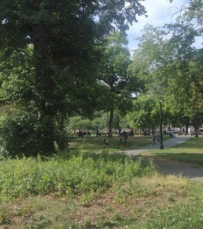 Rufus King Park Playground - Jamaica, NY