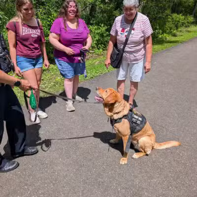 Jackson-Taylor Park - Jamestown, NY