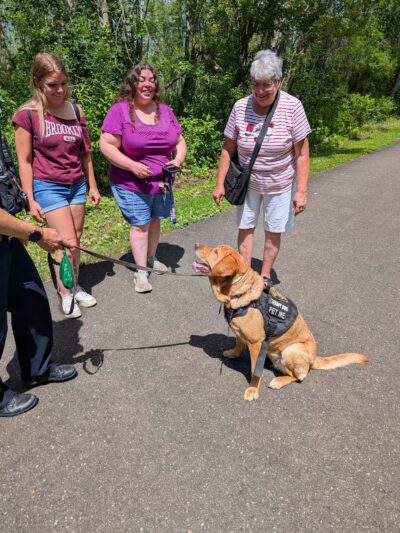 Jackson-Taylor Park - Jamestown, NY