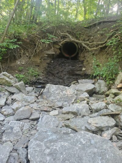 Allen Park - Jamestown, NY