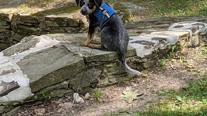 Allen Park - Jamestown, NY