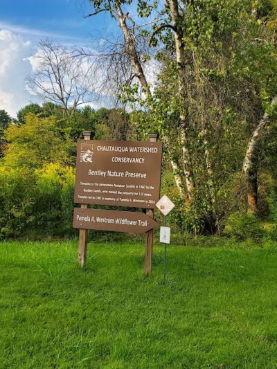 Bentley Nature Preserve - Jamestown, NY