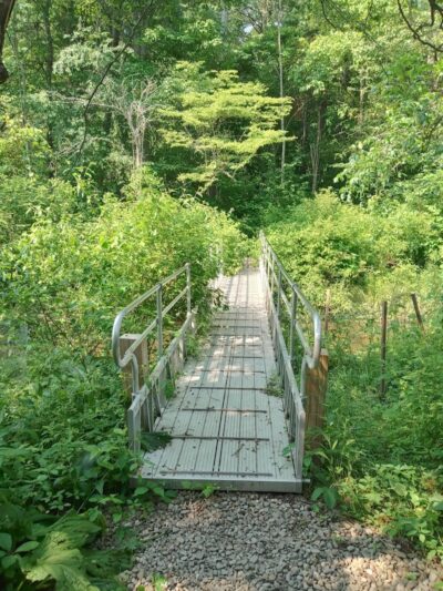 Bentley Nature Preserve - Jamestown, NY