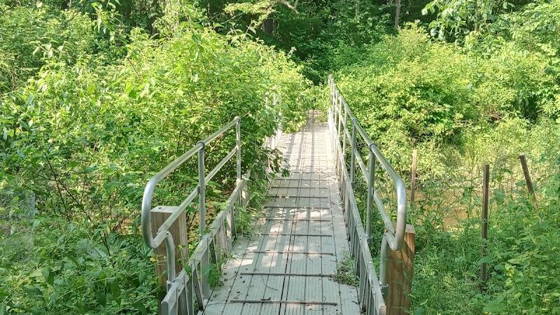 Bentley Nature Preserve - Jamestown, NY