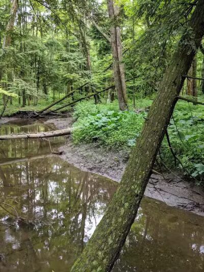 Bentley Nature Preserve - Jamestown, NY