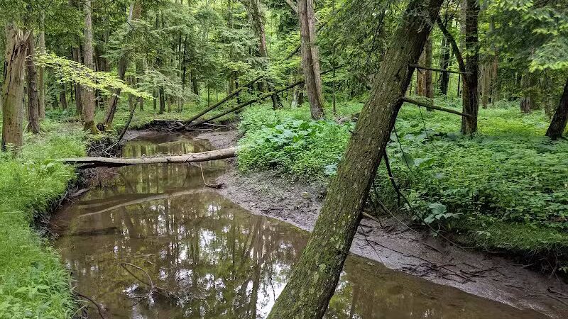 Bentley Nature Preserve - Jamestown, NY