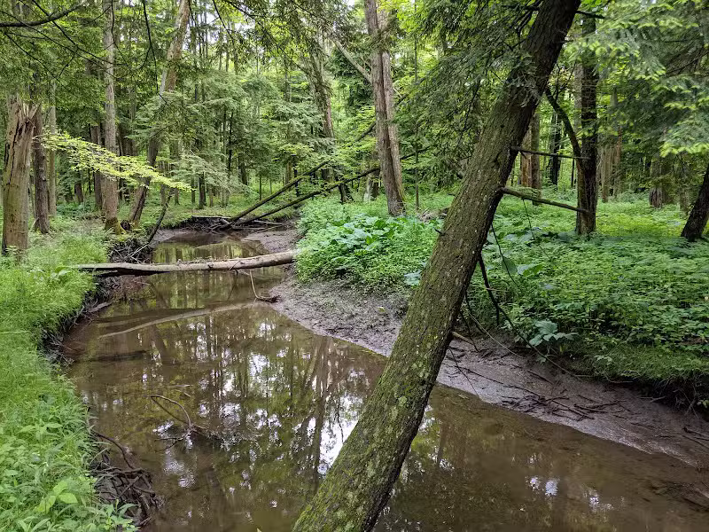 Bentley Nature Preserve - Jamestown, NY