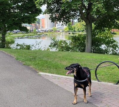 Jamestown River Walk - Jamestown, NY
