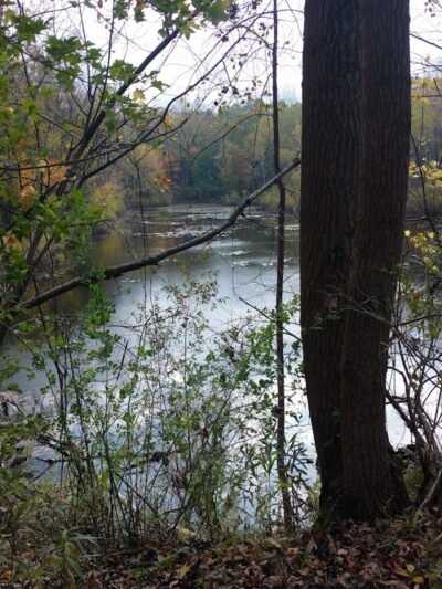 Jones Memorial Park - Jamestown, NY