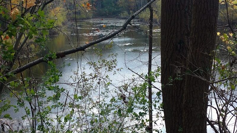 Jones Memorial Park - Jamestown, NY