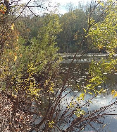 Jones Memorial Park - Jamestown, NY