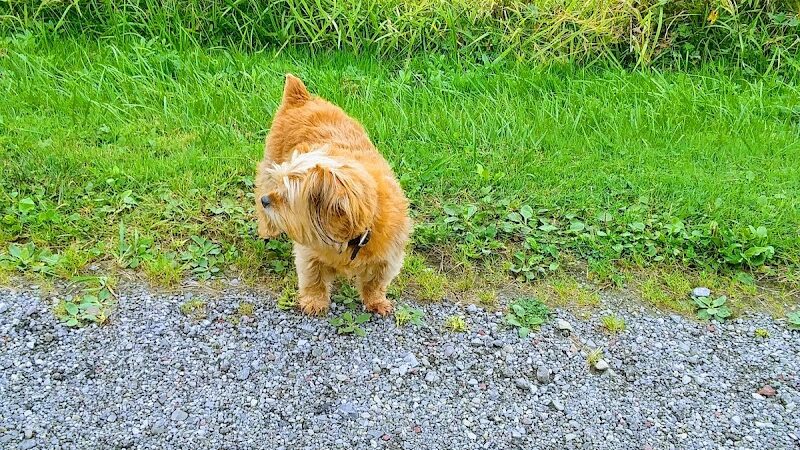 Jones Memorial Park - Jamestown, NY