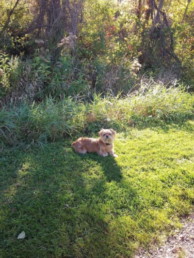 Jones Memorial Park - Jamestown, NY