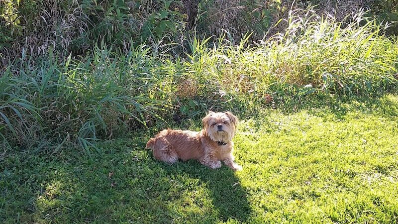 Jones Memorial Park - Jamestown, NY