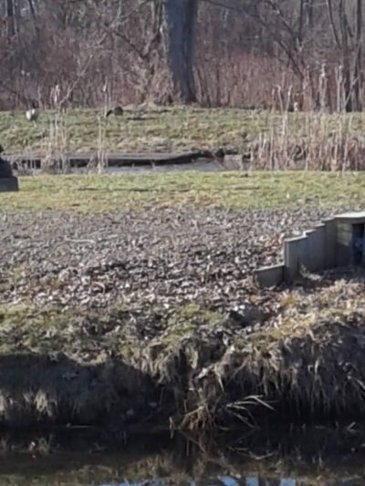 Jones Memorial Park - Jamestown, NY