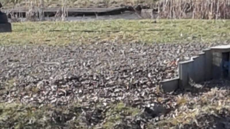 Jones Memorial Park - Jamestown, NY