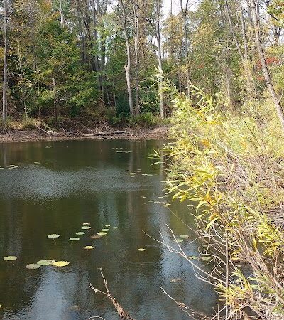 Jones Memorial Park - Jamestown, NY