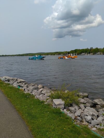 Lucille Ball Memorial Park - Jamestown, NY