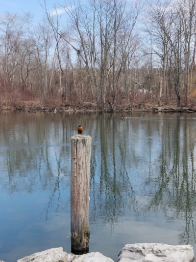McCrea Point Park & Public Boat Launch - Jamestown, NY