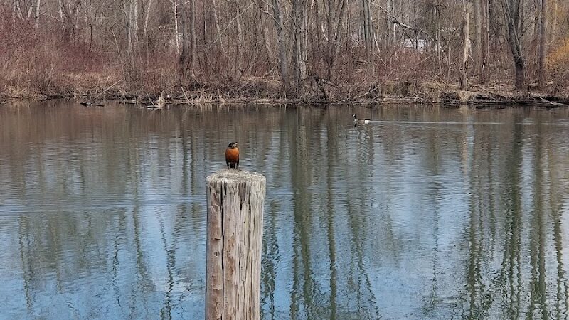 McCrea Point Park & Public Boat Launch - Jamestown, NY