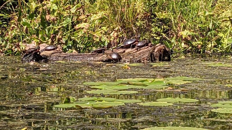 McCrea Point Park & Public Boat Launch - Jamestown, NY