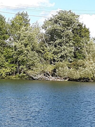 McCrea Point Park & Public Boat Launch - Jamestown, NY